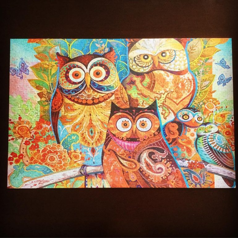 Picutre of a completed jigsaw puzzle, which shows 5 colorful abstract owls sitting on a branch.