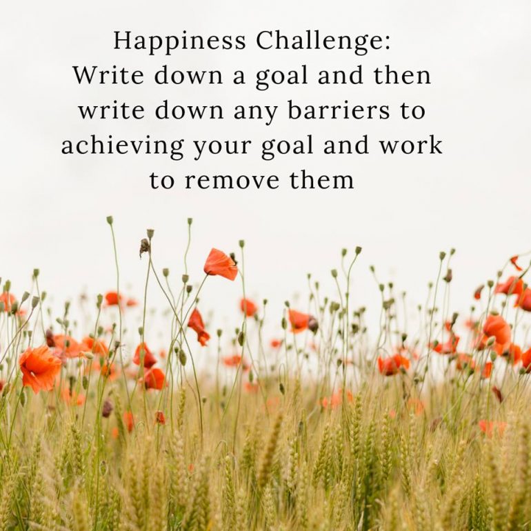 Happiness Challenge: Write down a goal and then write down any barriers to achieving your goal and work to remove them.