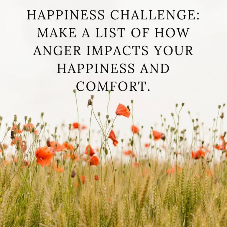 Happiness Challenge: Make a list of how anger impacts your happiness and comfort.