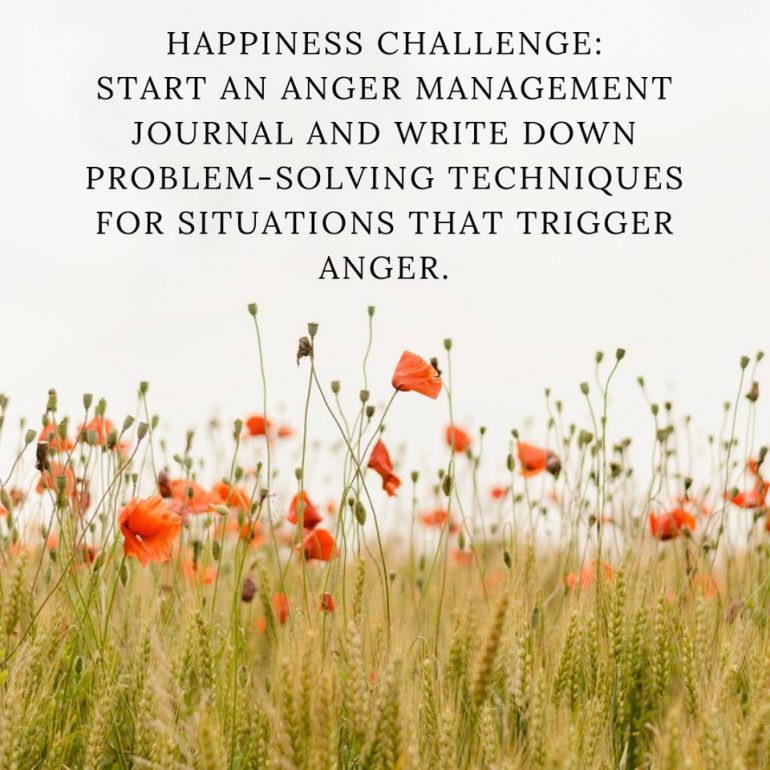 Happiness Challenge: Start an anger management journal and write down problem-solving techniques for situations that trigger anger.