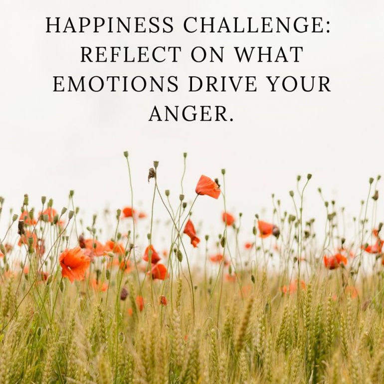 Happiness Challenge: Reflect on what emotions drive your anger.