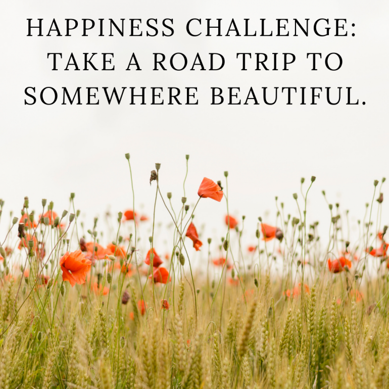Happiness Challenge: Take a road trip to somewhere beautiful.